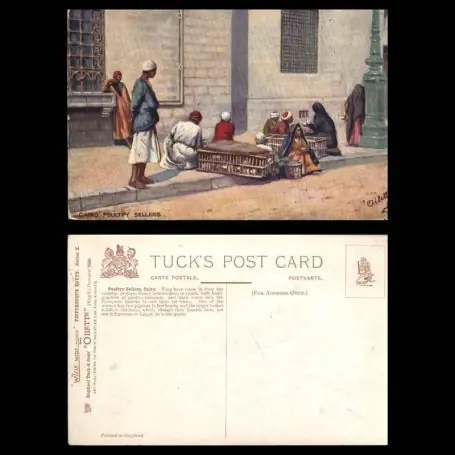 Nouvelle Collection Egypte - Le Caire - Vendeurs de volailles - Carte Oilette - Couleur