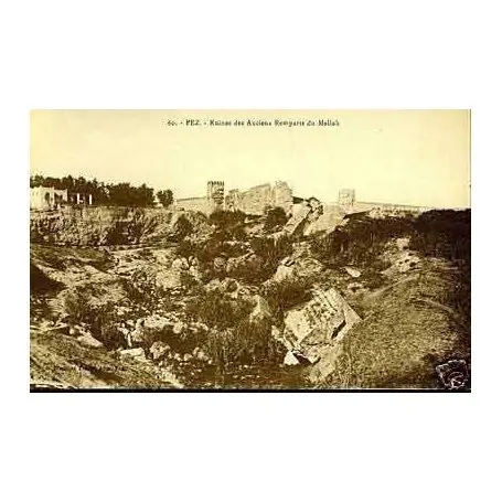 Meilleure Vente Maroc - Fez - Ruines des anciens remparts du Mellah