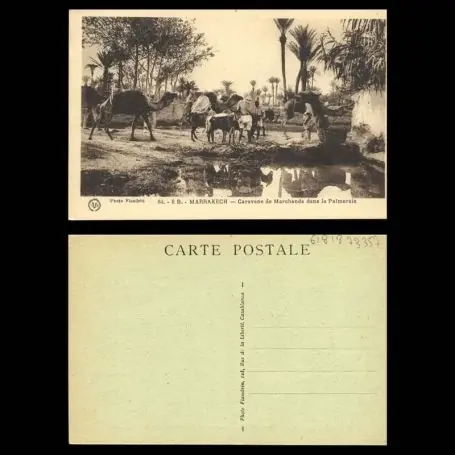 Maroc - Marrakech - Caravane de marchands dans la palmeraie Affaire À Saisir