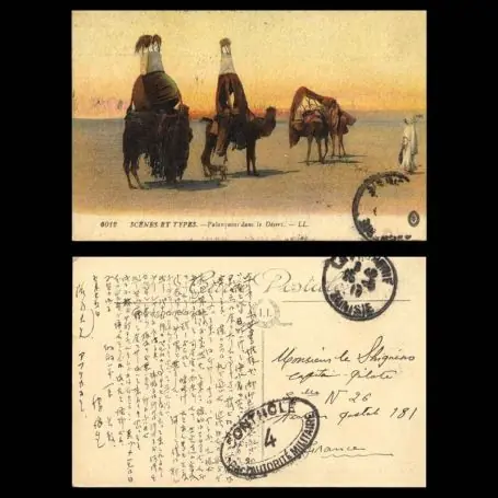 Maroc - scenes et types - Palanquin dans le desert Seulement Aujourd’hui