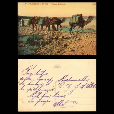 Maroc - Scenes et types Passage de l'Oued - Chameaux Paiement Sécurisé