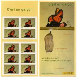 Quantité Limitée Timbre de collection France - Carnet BC3635