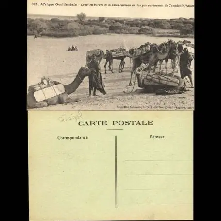 Senegal - Le sel en barres de 30 kilos environ arrive par caravanes, de Taoudenit - Beau plan anime Prix Cassé