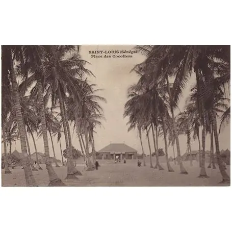 Senegal - St. Louis - Place des cocotiers Certifié