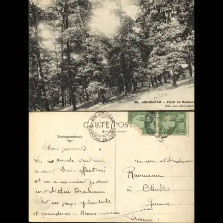 Pas Cher Tunisie - Aa¯n Draham - Foret de Mankoura