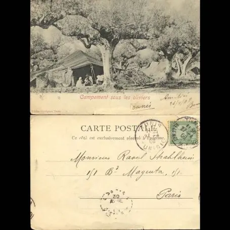 Tunisie - Campement sous les Oliviers Soldes