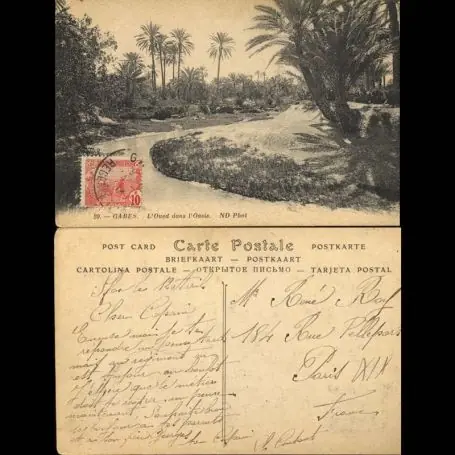 Promotion Saisonnière Tunisie - Gabes - L'Oued dans l'oasis