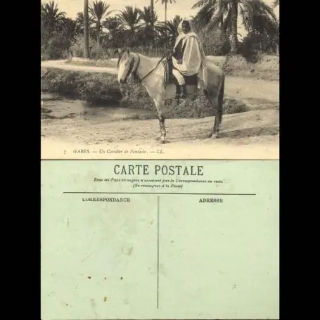 Tunisie - Gabes - Un cavalier de Fantasia - Beau plan Meilleure Qualité