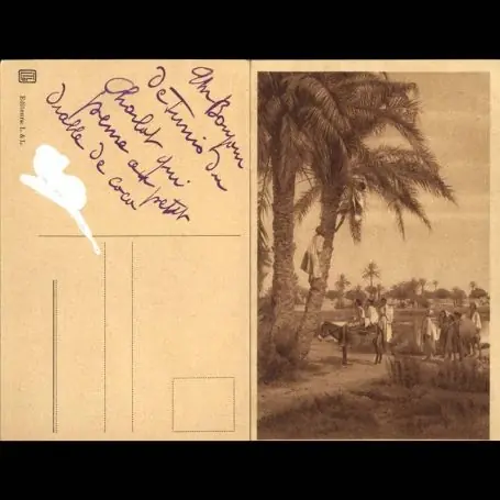 Vente Directe Tunisie - La recolte des dattes - animee