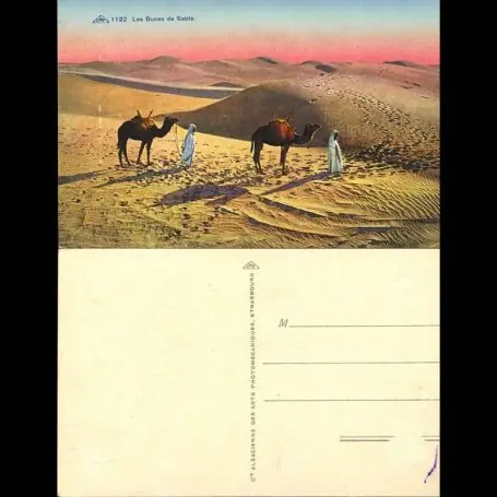 Tunisie - Les dunes de sable - Chameaux Remise