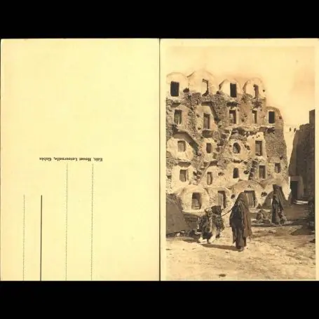 Bon Marché Tunisie - Medenine - Entree des Ksars - Femmes - Chameaux - Anes