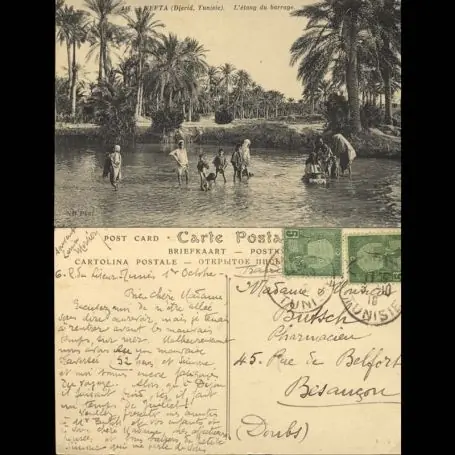 Tunisie - Nefta (Djerid) - L'etang du barrage - animee Affaire À Saisir