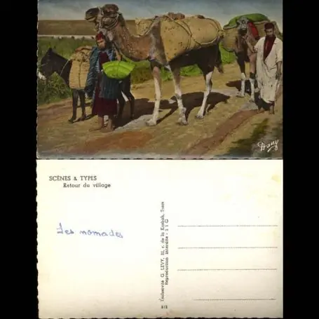 Tunisie - Scenes et types - Retour au village - CPSM Populaire