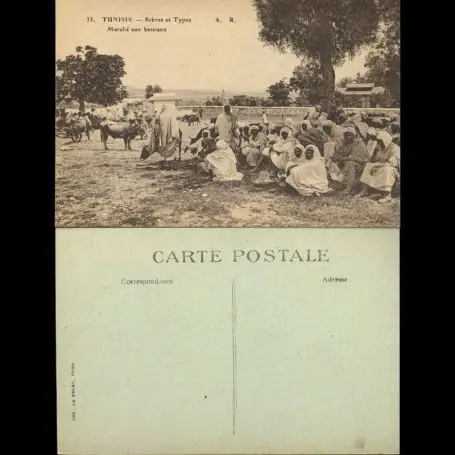 Satisfait Ou Remboursé Tunisie - Scenes et types - Un marche aux bestiaux - Beau plan