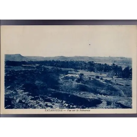 Tendance Tunisie - Tatahouine - Vue sur la Palmeraie