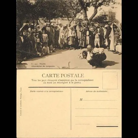 Tunisie - Tunis - Charmeur de serpents Expédition Rapide