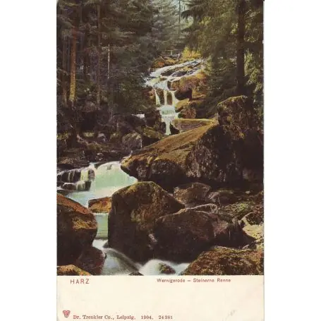 Livraison Express Allemagne - Harz - Wernigerode Steinerne Renne