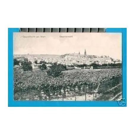 Offre Limitée ALLEMAGNE - OPPENHEIM AM RHEIN - GESAMTANSICHT