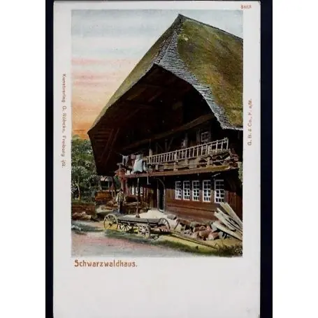 Allemagne - Schwarzwaldhaus - Beau plan Commander Vite