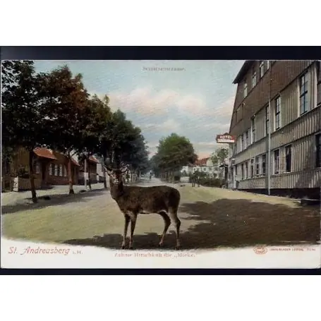 Réduction Allemagne - St. Andreasberg i. H. - Schutzenstrasse - Zahme Hirschkuh die Mieke
