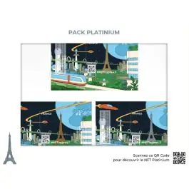 Achetez Aujourd’hui Timbre de collection France - Crypto NFT 4 Pack Platinium