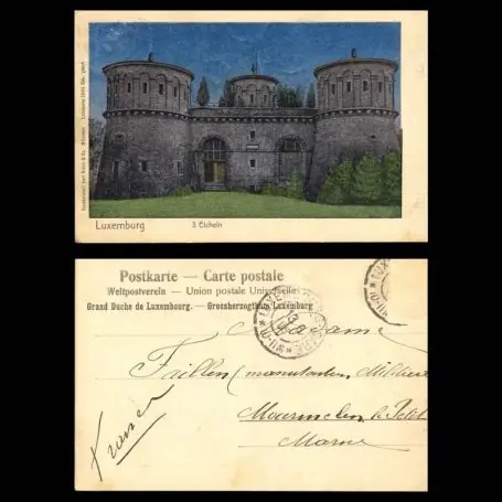 Meilleure Qualité Luxembourg - 3 Eicheln