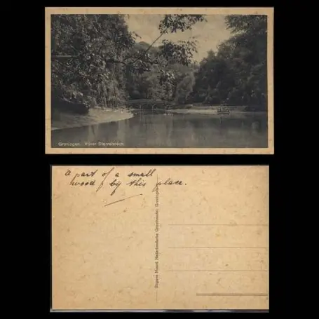 Pays-Bas - Groningen - Vijver Sterrebosch Top Vente