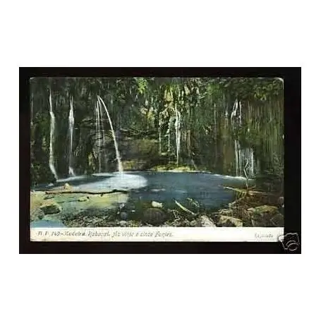 Portugal - Madeira - Rabacal As vinte e cinco Fontes Marque