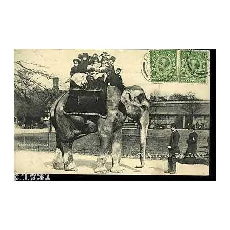 GB - Londres - Riding on the elephant at the Zoo Commande En Gros