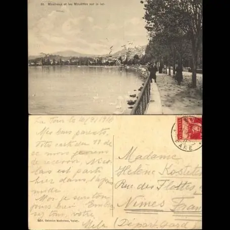 Suisse - Montreux et les mouettes sur le lac Livraison Express