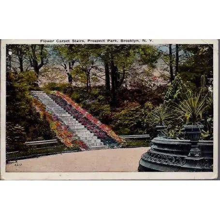 Populaire USA - Brooklyn N.Y. - Flower Carpet stairs