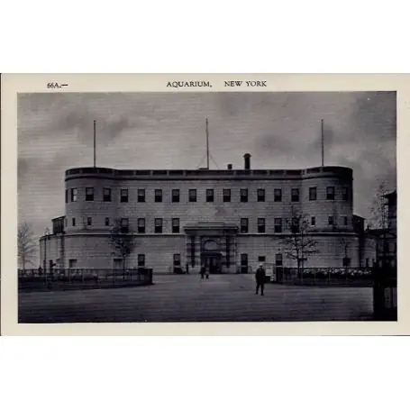 USA - New York - Aquarium Prix Promo