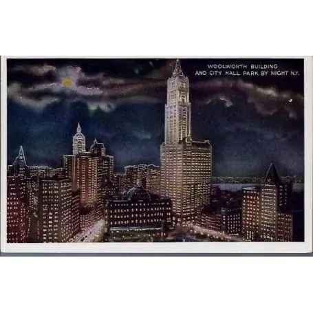 Livraison Gratuite USA - New York - Woolworth Bldg and City Hall Pk.