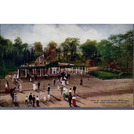 Meilleure Qualité USA - New York - Zoological Park - Boston Road Ent