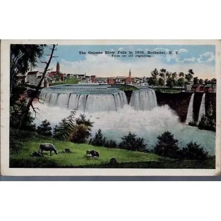 Gros Lot USA - The Genesee River falls - Rochester N.Y.