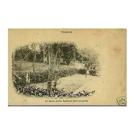 Tonkin - Hanoi - Jardin botanique - Parc aux grues Nouveauté