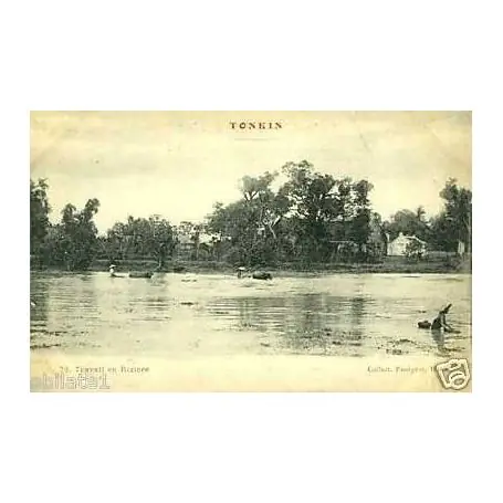 Offre Du Jour Tonkin - Le travail en riziere