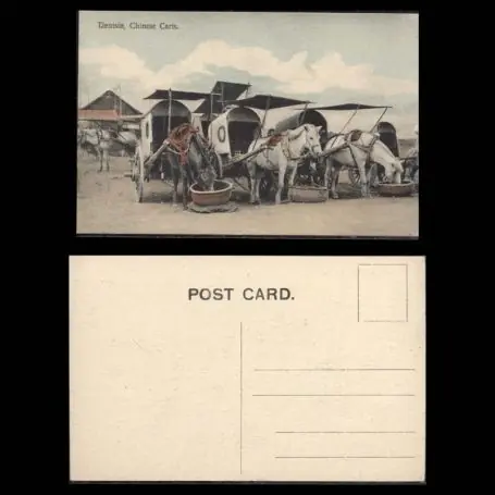 Retour Gratuit Chine - Tientsin - Chars chinois - Beau plan couleur