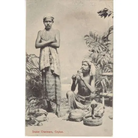 Ceylan - Charmeur de serpents Remise