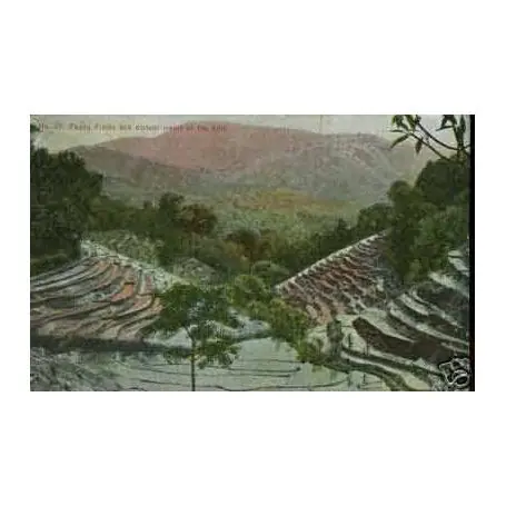 Jusqu’à Épuisement Des Stocks CEYLAN - PADDY FIELDS AND DISTANT VIEW OF THE HILLS