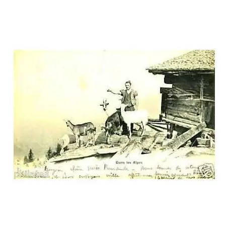 Dans les alpes - Chevrier et ses chevres Fait Main