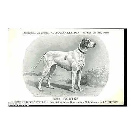 En Vogue Race Pointer - Roxane de Croutelle - 1er prix