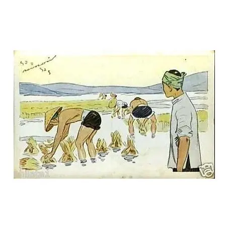 Édition Limitée Le riz d'Indochine -Arrachage avant... illustre par ?