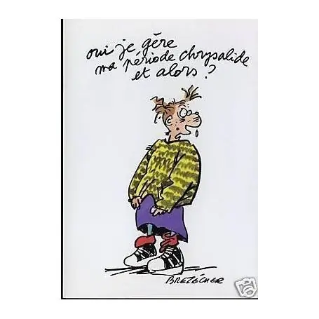 Top Qualité Oui je gere ma periode chrysalide... - Claire Bretecher