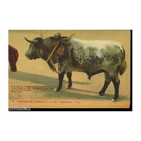 Satisfait Ou Remboursé Courses de Taureaux - Avant l'estocade