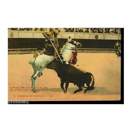 Livraison Express Courses de Taureaux - Le picador arme d'une Vara