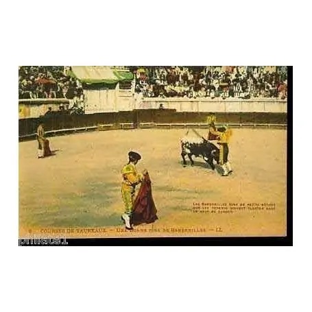 Courses de Taureaux - Pose de banderilles Vente Flash