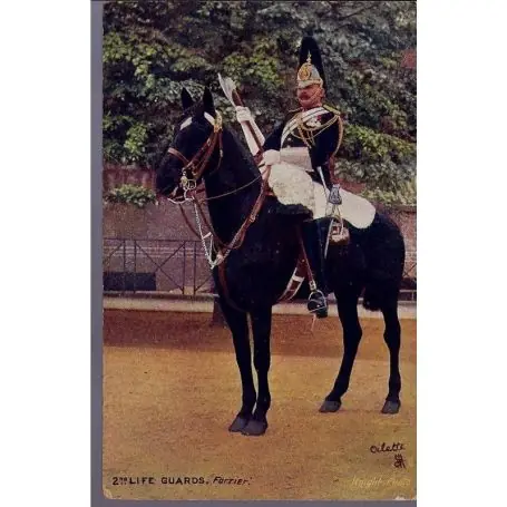 2nd Life Guards - Forrier Carte n'ayant pas voyage Expédition Rapide