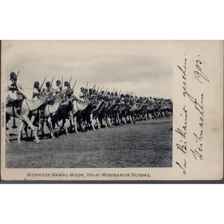 Bikaneer Camel Corp Delhi Coronation Durbar 1905 Carte n'ayant pas voyage Achetez Aujourd’hui