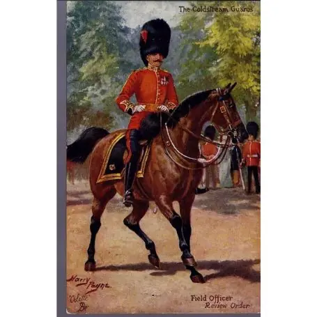 Réduction The Coldstream Guards - Field Officer - Review Order Illustree par Harry Payne